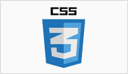 Custom Web Development Services