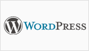 Custom Web Development Services
